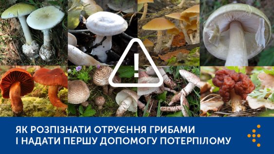 ОТРУЄННЯ ГРИБАМИ: ЯК УНИКНУТИ, ВИЯВИТИ ТА ДОПОМОГТИ